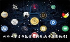 比特币官方钱包使用指南：是否需要翻墙？