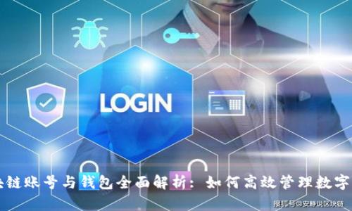 区块链账号与钱包全面解析: 如何高效管理数字资产