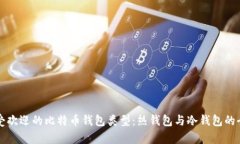 两种最受欢迎的比特币钱包类型：热钱包与冷钱