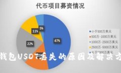 TP钱包USDT丢失的原因及解决方案