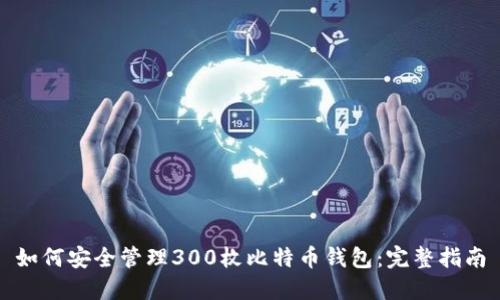 如何安全管理300枚比特币钱包：完整指南