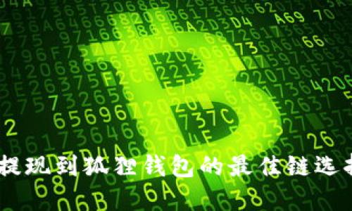 USDT提现到狐狸钱包的最佳链选择指南