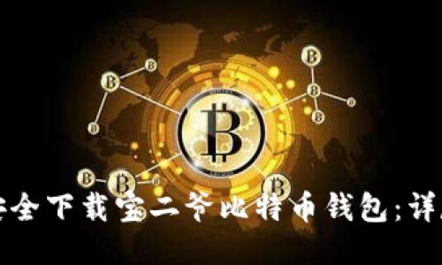 如何安全下载宝二爷比特币钱包：详尽指南