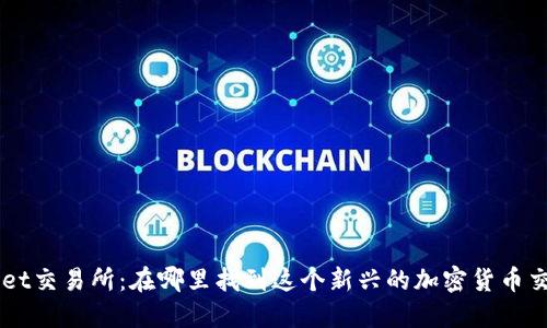 TPWallet交易所：在哪里找到这个新兴的加密货币交易平台