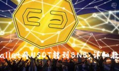 如何通过TPWallet将USDT转到BNB：详细教程与问题解