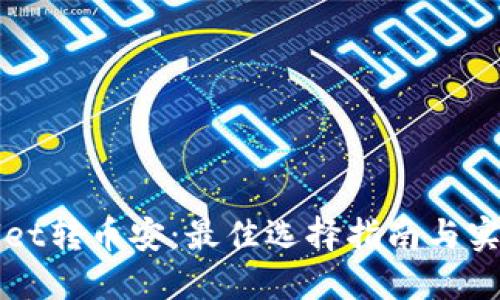 TPWallet转币安：最佳选择指南与实用技巧