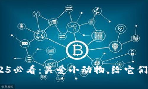 立即行动！2025必看：关爱小动物，给它们一个温暖的家