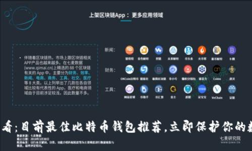 2025必看：目前最佳比特币钱包推荐，立即保护你的数字资产